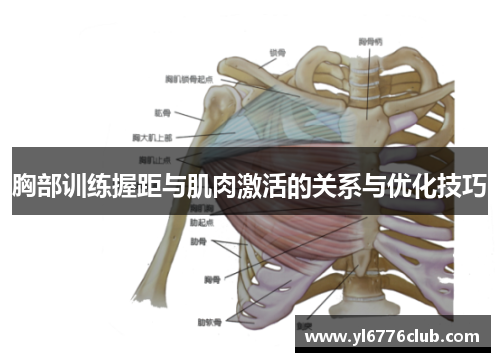 胸部训练握距与肌肉激活的关系与优化技巧